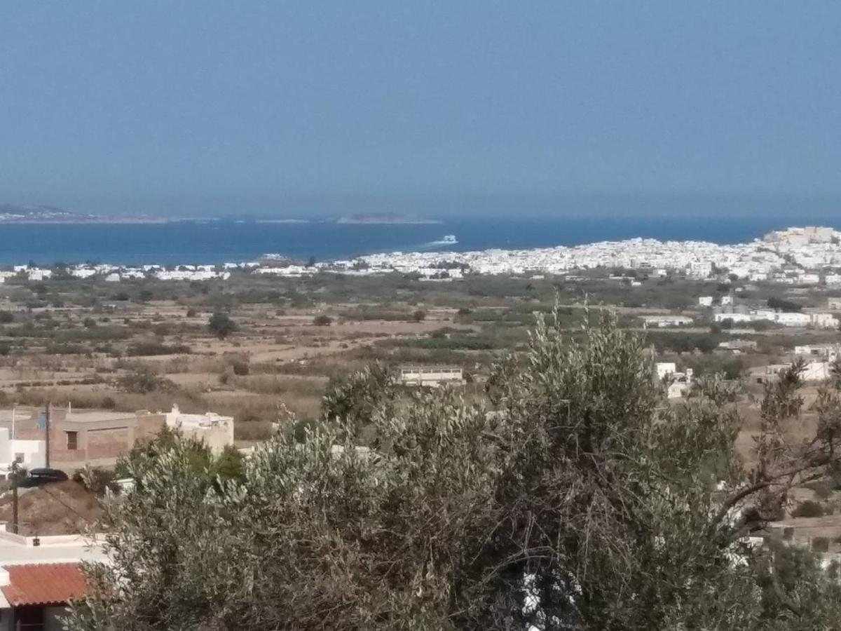 Aegean Window 1 Glinado Naxos Exterior foto
